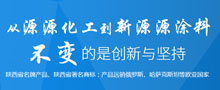 陜西新源源涂料有限公司