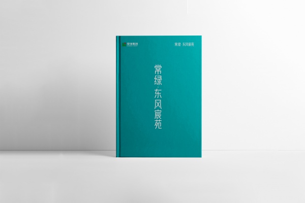 精裝畫(huà)冊(cè)